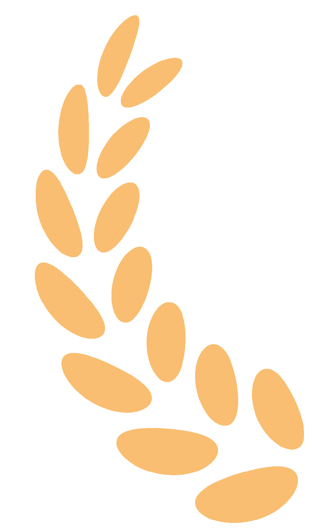 百日砺剑赴中考 少年逐梦正当时 —— 江口县第四中学 2026年春季开学典礼暨2026 届毕业冲刺百日誓师大会燃情启幕 第11张