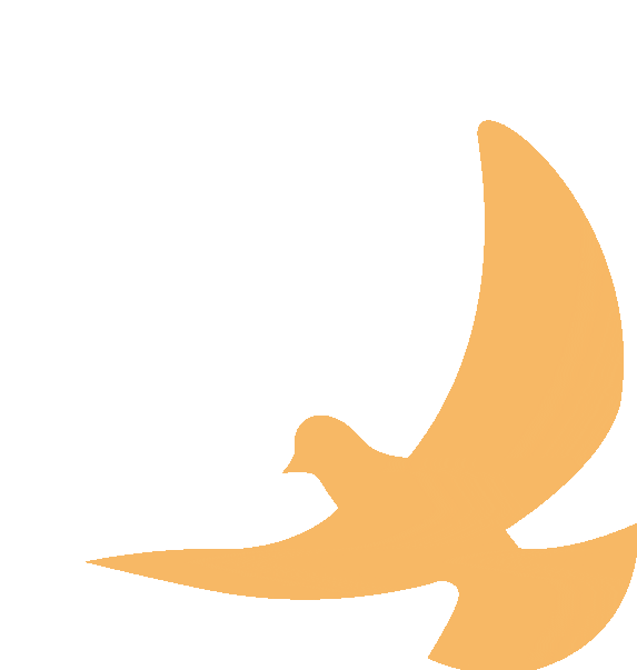 百日砺剑赴中考 少年逐梦正当时 —— 江口县第四中学 2026年春季开学典礼暨2026 届毕业冲刺百日誓师大会燃情启幕 第50张