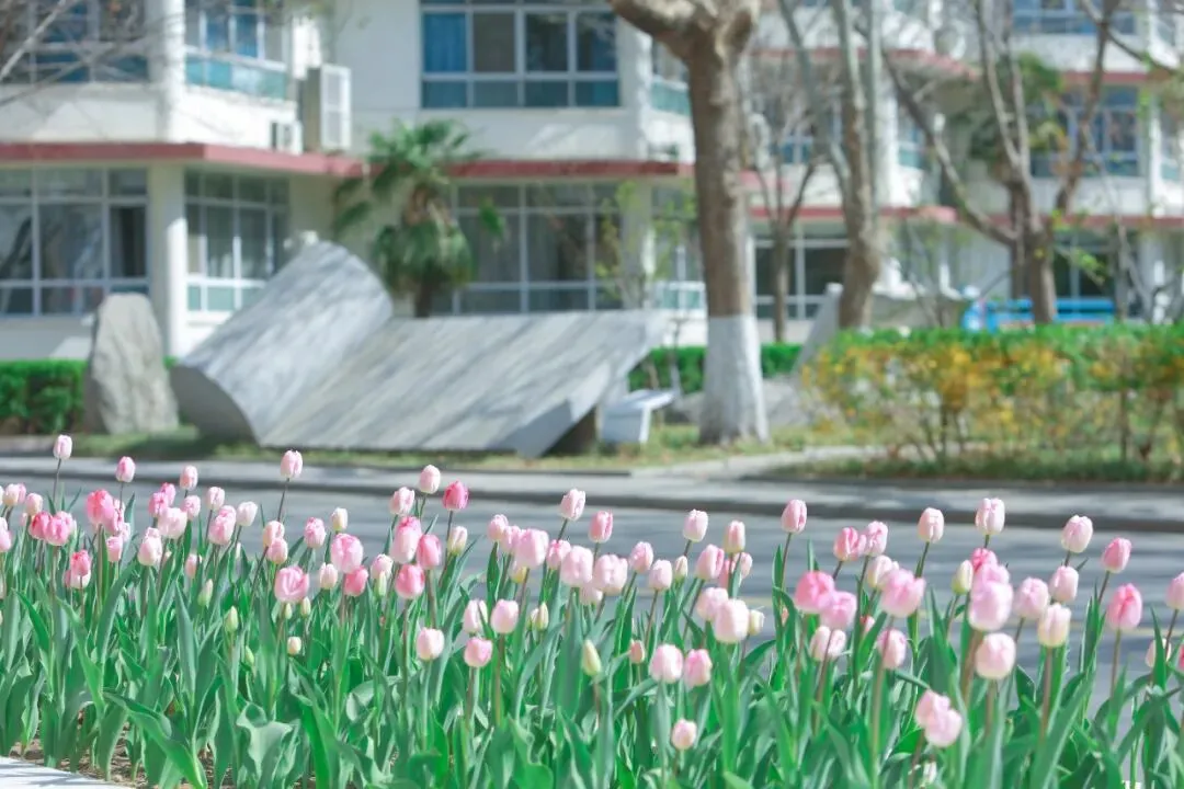 下一站,衡中 | 中考100天倒计时:愿向往,终成归属 第34张