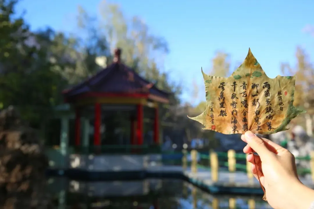 下一站,衡中 | 中考100天倒计时:愿向往,终成归属 第35张