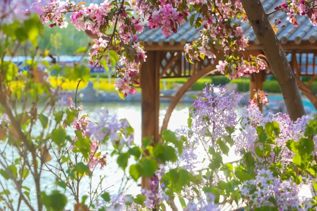 下一站,衡中 | 中考100天倒计时:愿向往,终成归属 第36张