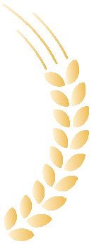 百日誓师 青春宣言|士成中学2026年中考百日誓师大会 第86张