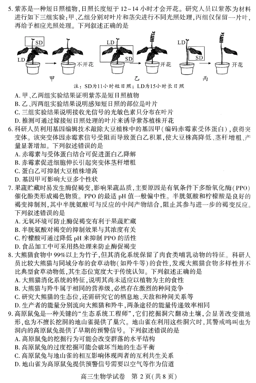 武汉三调试卷+答题卡+评分标准 第2张