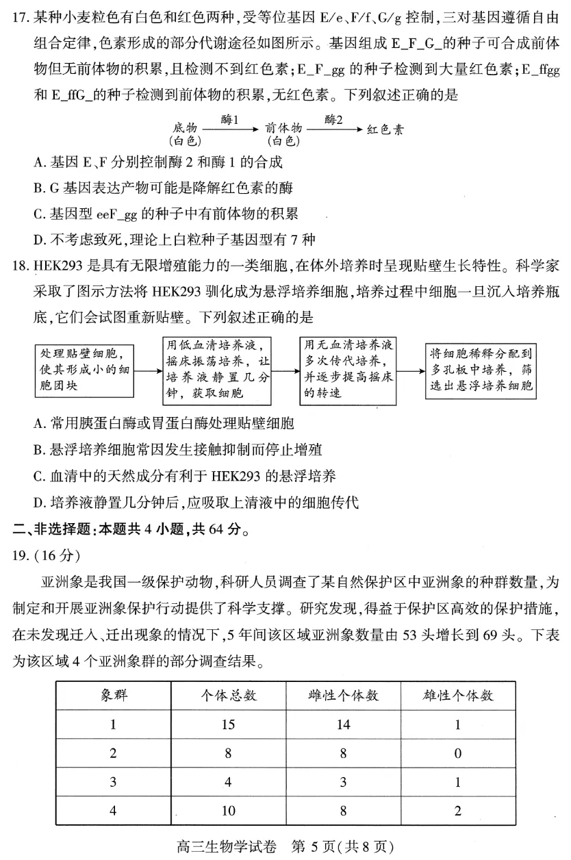武汉三调试卷+答题卡+评分标准 第5张