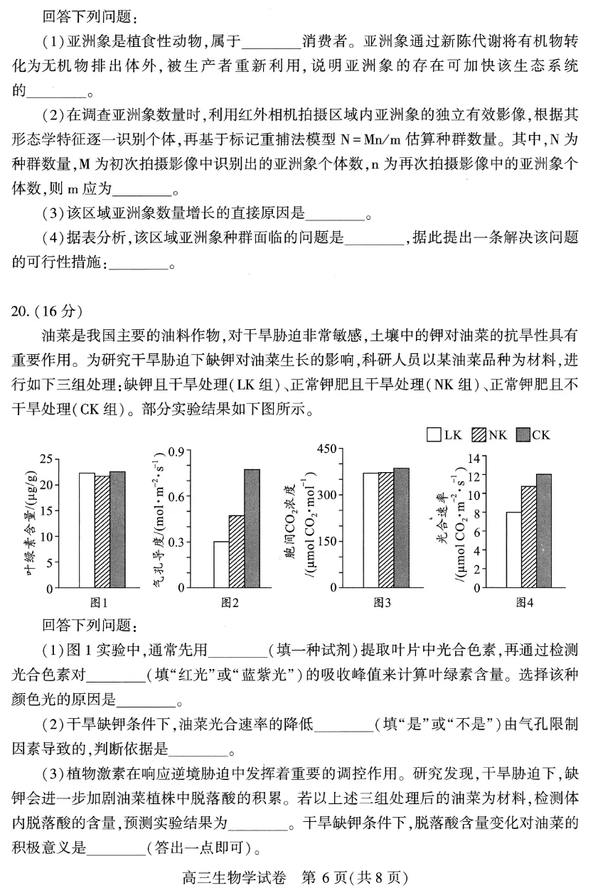 武汉三调试卷+答题卡+评分标准 第6张