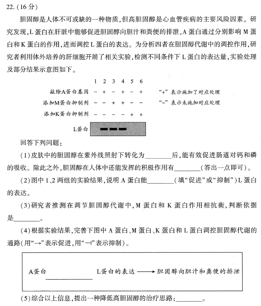 武汉三调试卷+答题卡+评分标准 第8张
