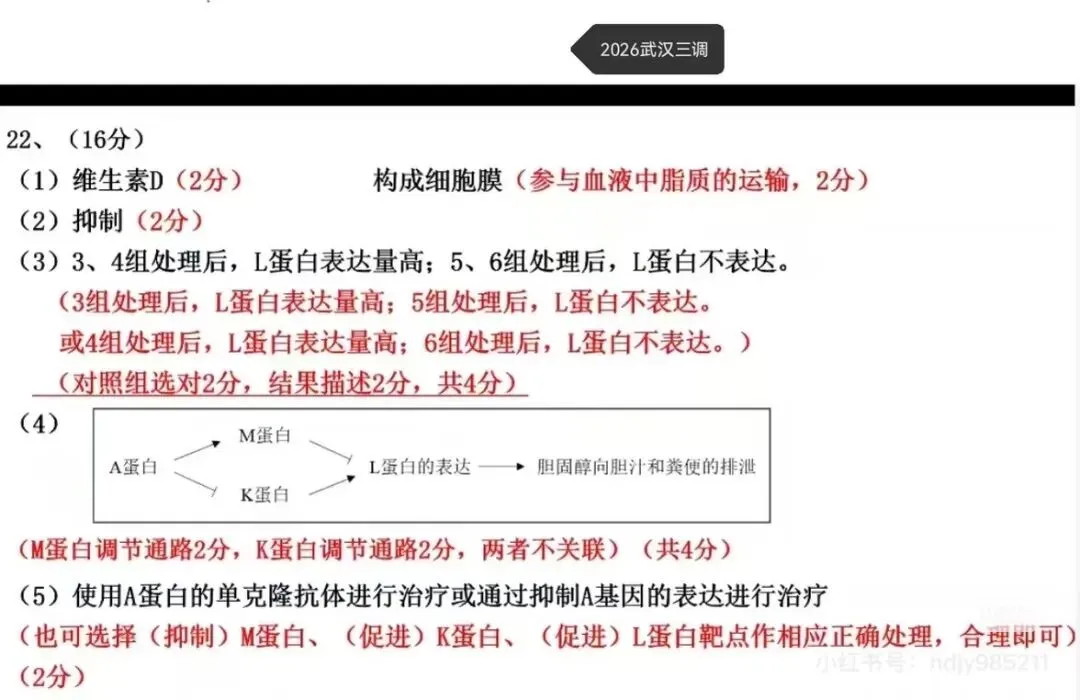 武汉三调试卷+答题卡+评分标准 第15张