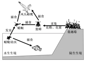 哈三中2026年高三学年第一次模拟考试生物试题 第7张