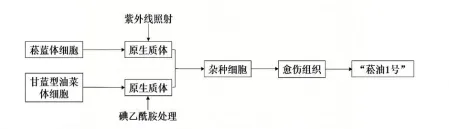 哈三中2026年高三学年第一次模拟考试生物试题 第8张