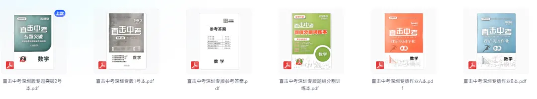 2026版数学《直击中考专题突破》深圳专版 第5张