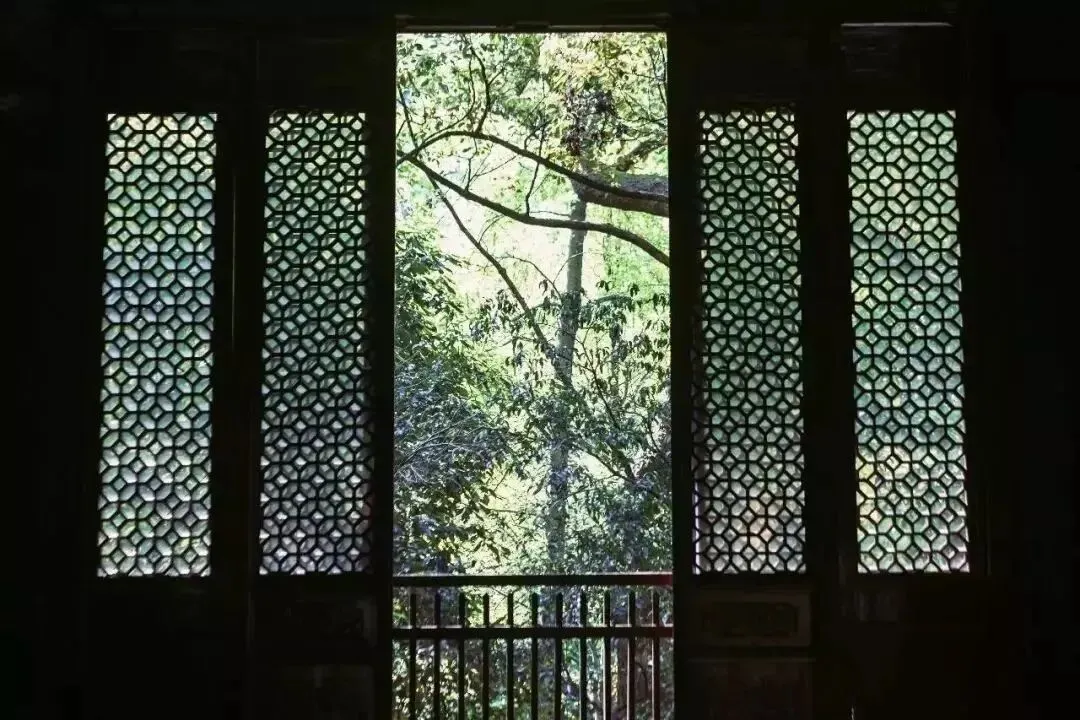 【中考阅读指导】关于中国传统纹样(非连续性文本)山东烟台2025 第7张