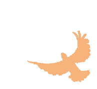 汉川外国语学校举行2026年中考百日誓师大会 第4张
