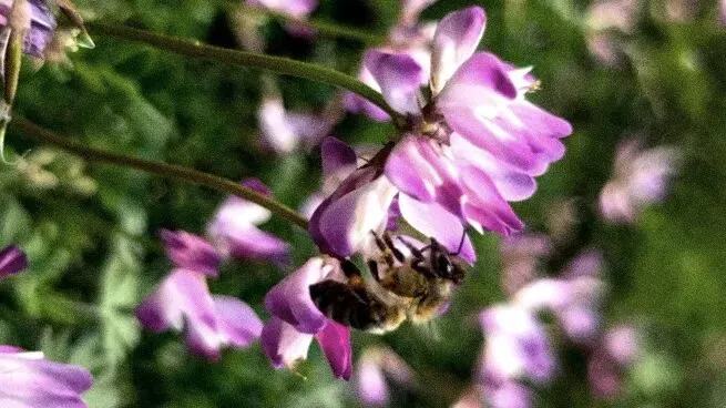 中考作文高分技巧| 初三生如何写出56分以上的一类卷作文? 第3张