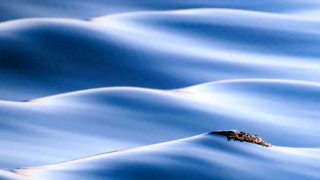 中考作文高分技巧| 初三生如何写出56分以上的一类卷作文? 第33张