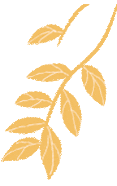 策马百日 逐梦中考|903班:携九年锋芒,战百日时光 第46张