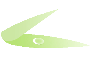 策马百日 逐梦中考|903班:携九年锋芒,战百日时光 第50张