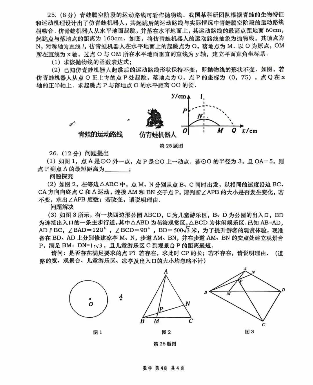 高新一中一模语数物试卷及解析 第15张