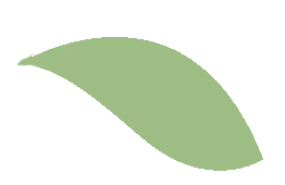 精研中考明方向 聚力备考提质效——怀化市第二中学语文、数学复习专题研讨会圆满召开 第10张 精研中考明方向 聚力备考提质效——怀化市第二中学语文、数学复习专题研讨会圆满召开 第10张