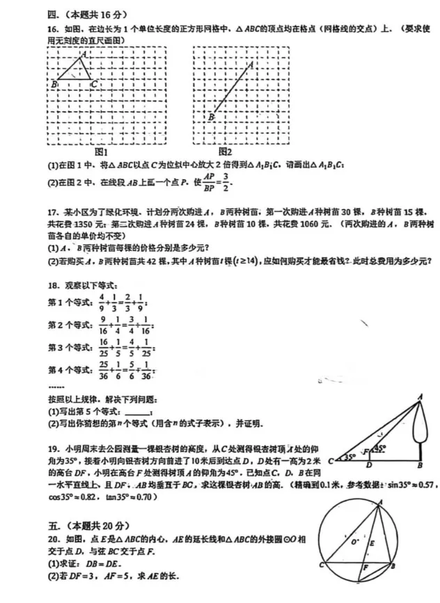 2026年安徽桐城市第二中学九年级中考一模数学试卷 第3张
