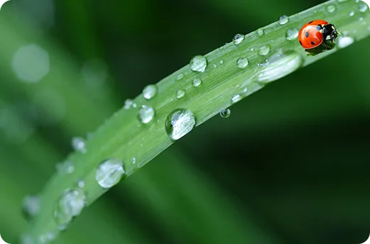 2026年邯郸市中考报名政策解读来了!加分、报名、科目…… 第2张