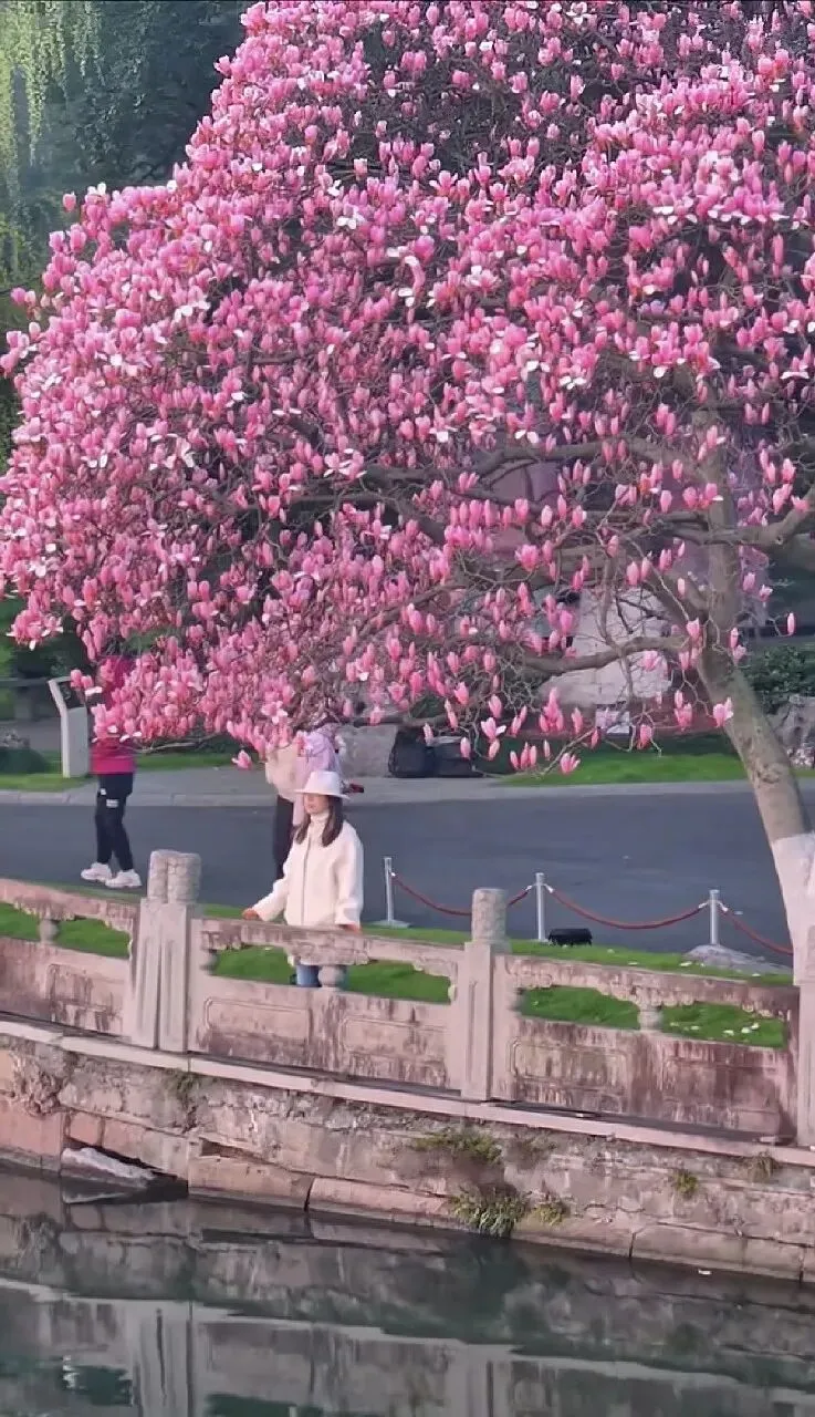 【中考语文复习】文言文专题训练3:议论杂说、深思远虑 第1张