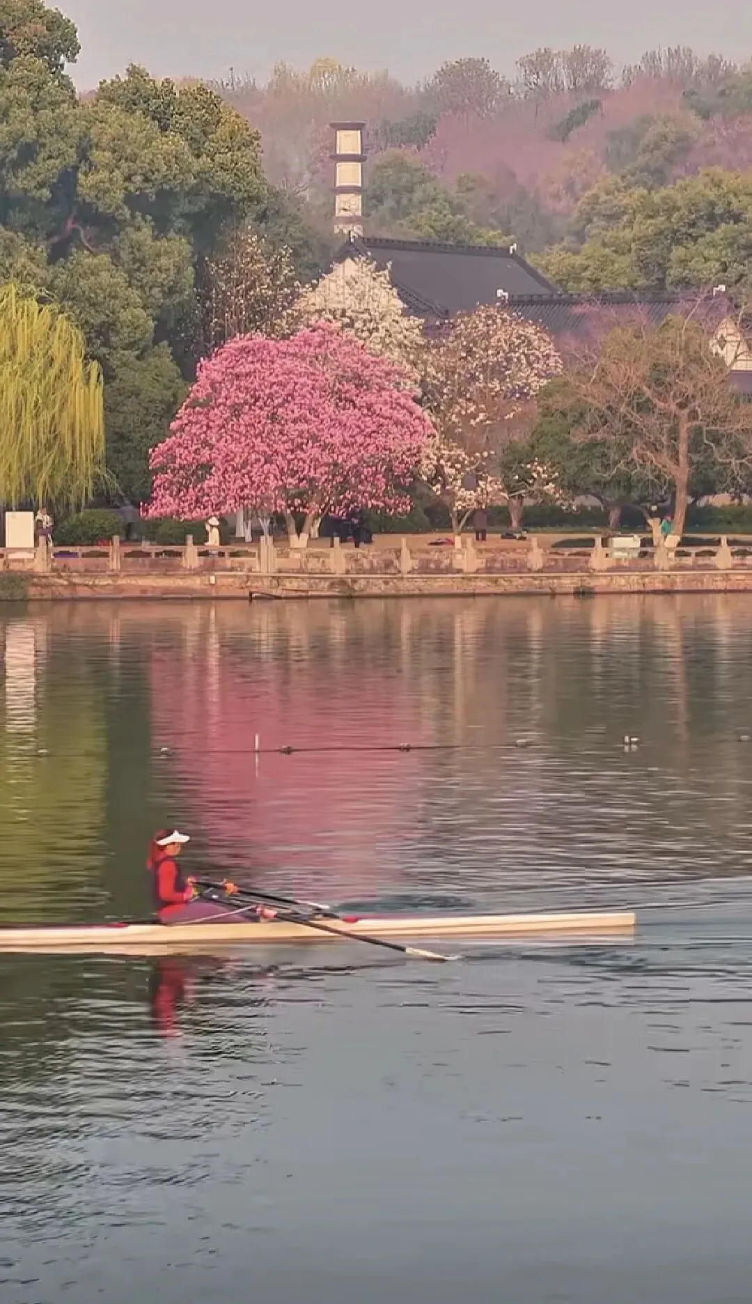 【中考语文复习】文言文专题训练3:议论杂说、深思远虑 第2张