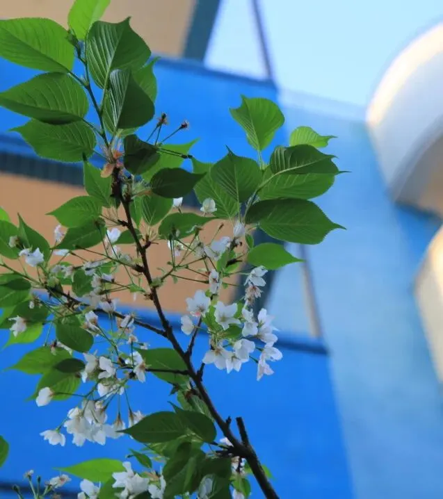 凝心聚力精研备考 笃行实干逐梦中考——南部县东辰学校初中部2026届备考研讨会圆满召开 第56张