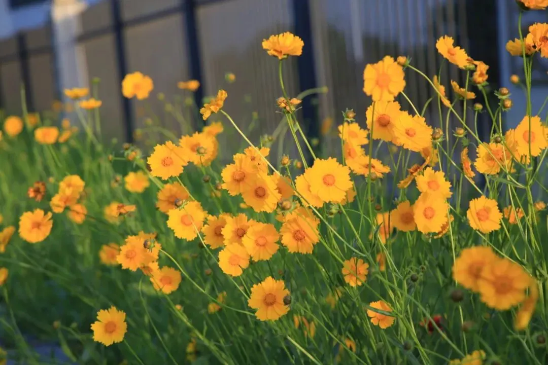 凝心聚力精研备考 笃行实干逐梦中考——南部县东辰学校初中部2026届备考研讨会圆满召开 第60张