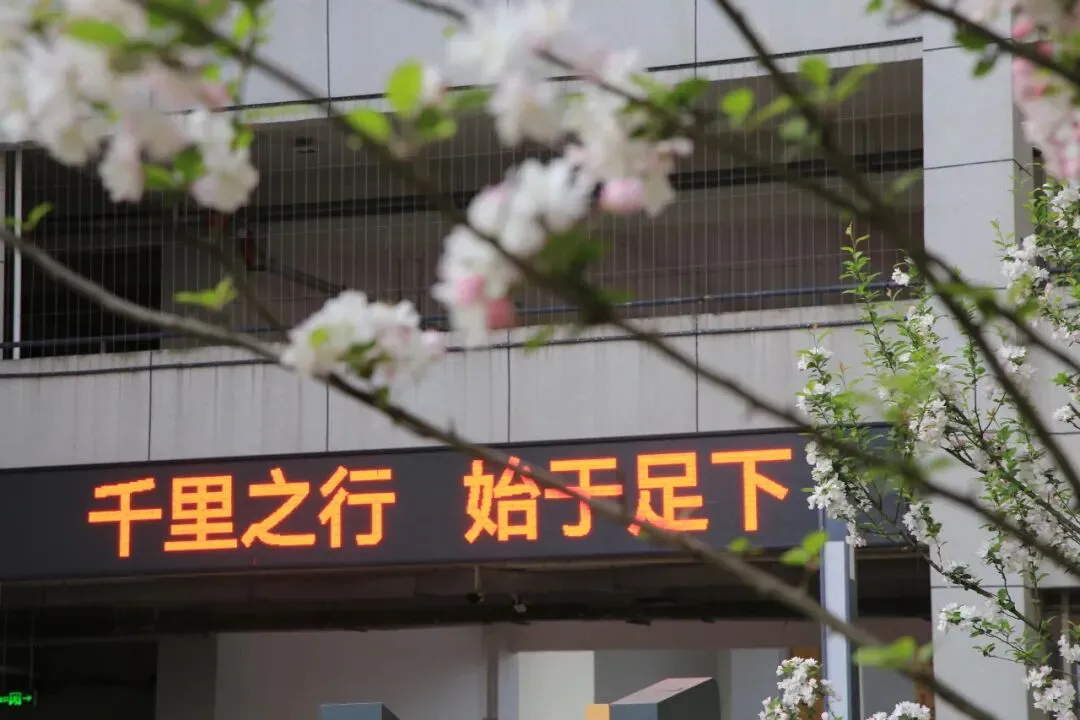 凝心聚力精研备考 笃行实干逐梦中考——南部县东辰学校初中部2026届备考研讨会圆满召开 第61张