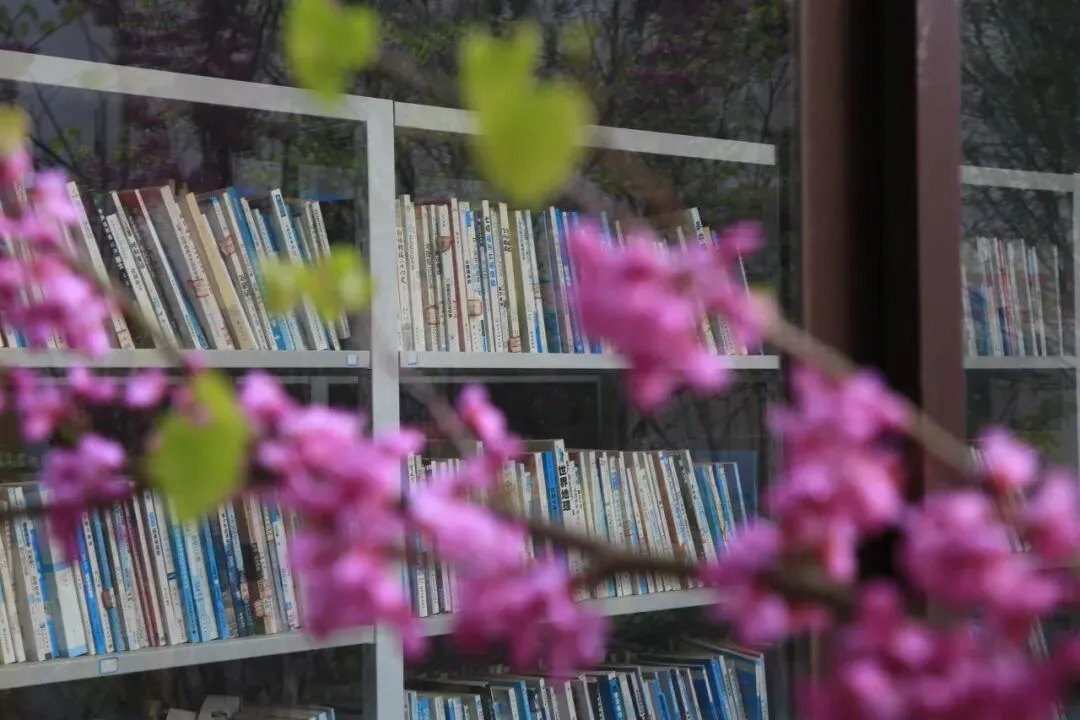 凝心聚力精研备考 笃行实干逐梦中考——南部县东辰学校初中部2026届备考研讨会圆满召开 第62张