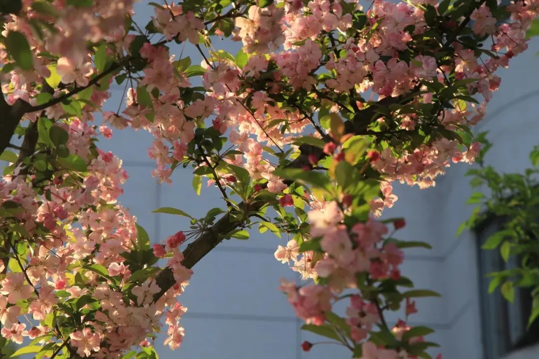 凝心聚力精研备考 笃行实干逐梦中考——南部县东辰学校初中部2026届备考研讨会圆满召开 第64张