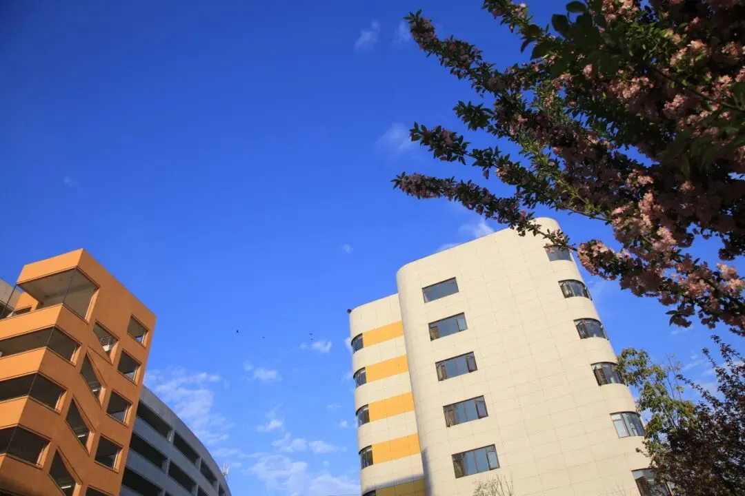 凝心聚力精研备考 笃行实干逐梦中考——南部县东辰学校初中部2026届备考研讨会圆满召开 第65张