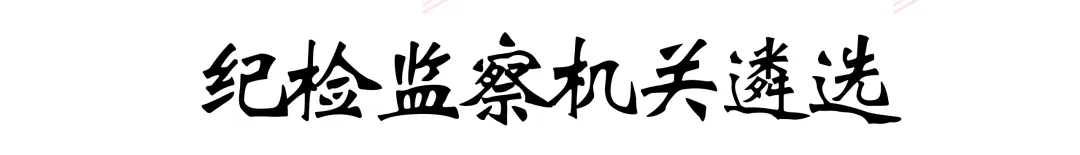 看真题、品解析、学知识、提能力,《重庆市纪检监察机关遴选公务员历年解析》,值得您入手! 第8张