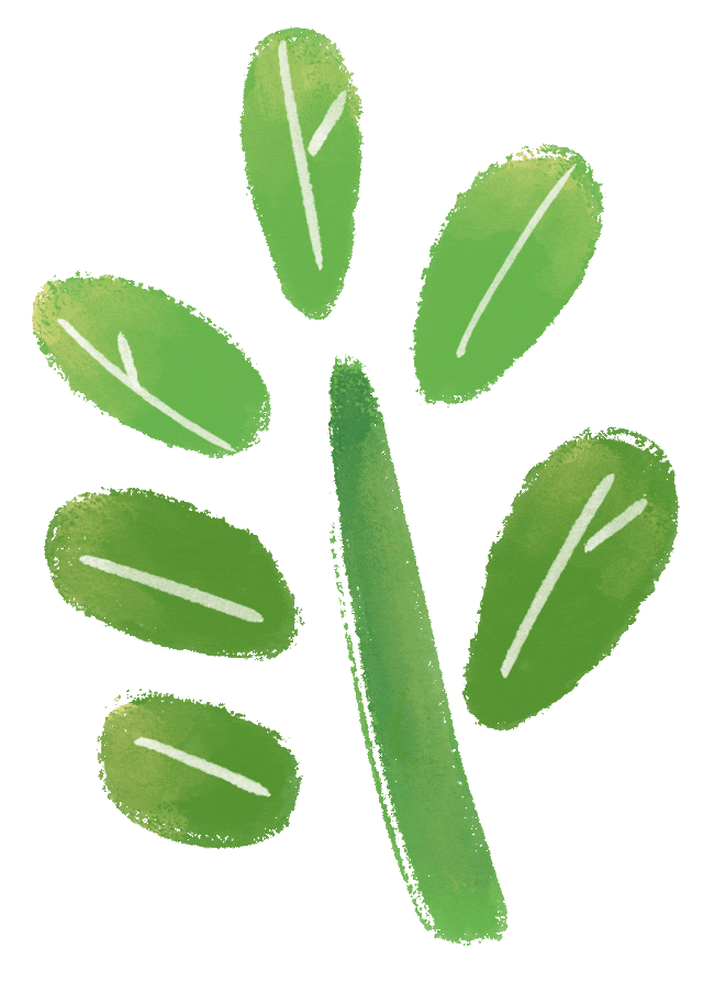 十二中·家校|家校同心聚力 共赴中考之约——我校九年级春季家长会圆满召开 第17张