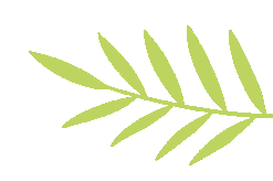 【真题训练】希望杯3-4年级往年真题(附答案),比赛轻松拿下高分! 第9张