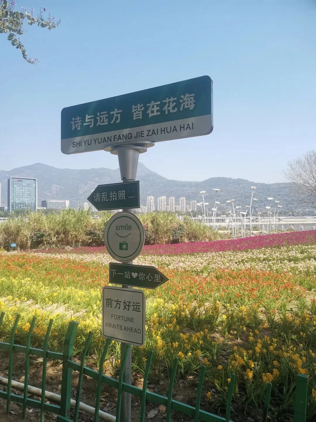 中考倒计时100天,加油! 第3张