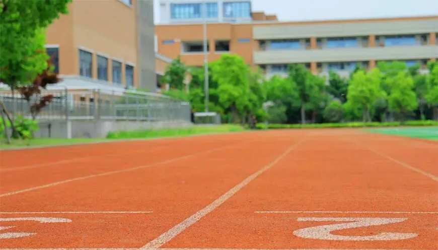 国际学校初高中也要参加中考或高考吗? 第1张