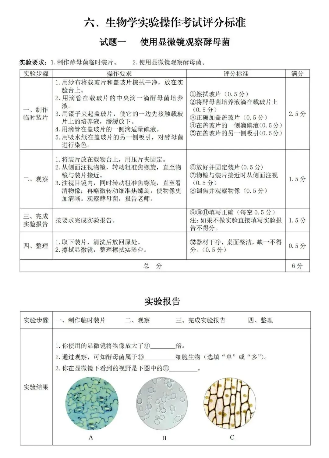 【标准】2026邯郸中考理化实验考试评分标准-物理/化学/生物 第13张
