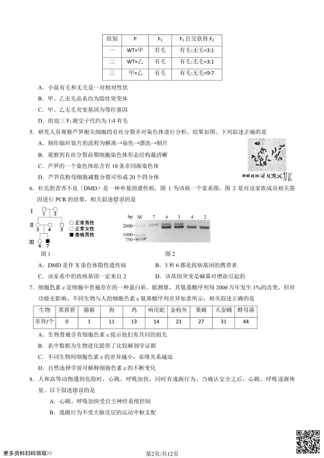 2025北京西城高三一模生物试卷(含答案) 第2张