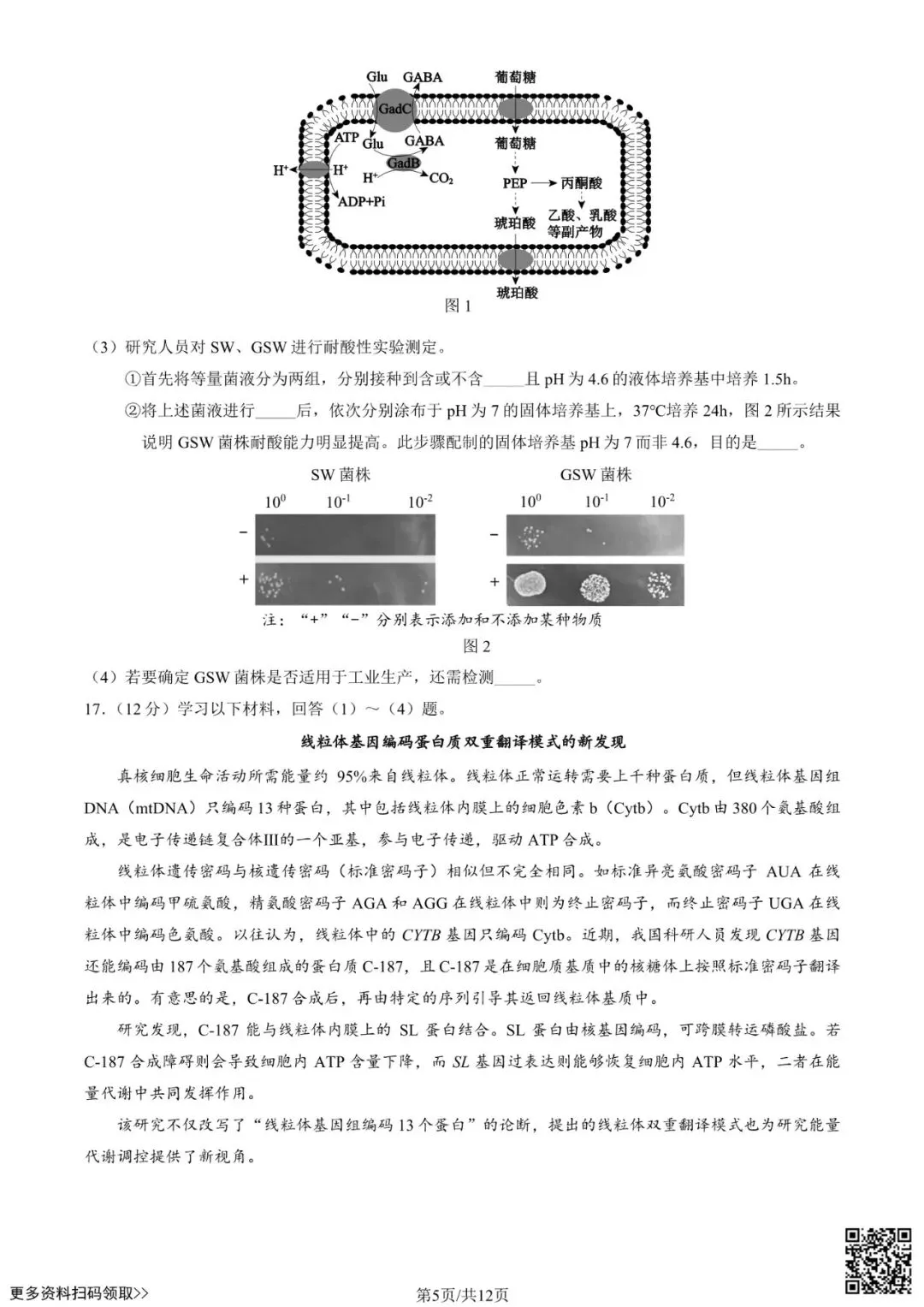 2025北京西城高三一模生物试卷(含答案) 第5张