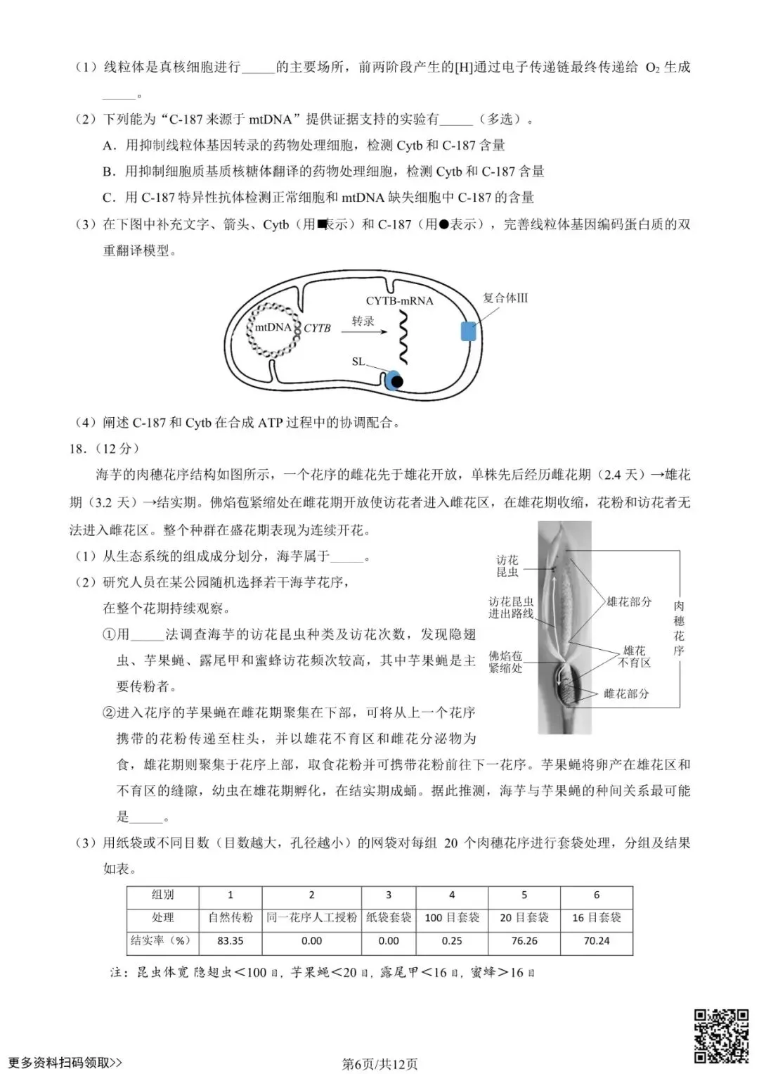 2025北京西城高三一模生物试卷(含答案) 第6张