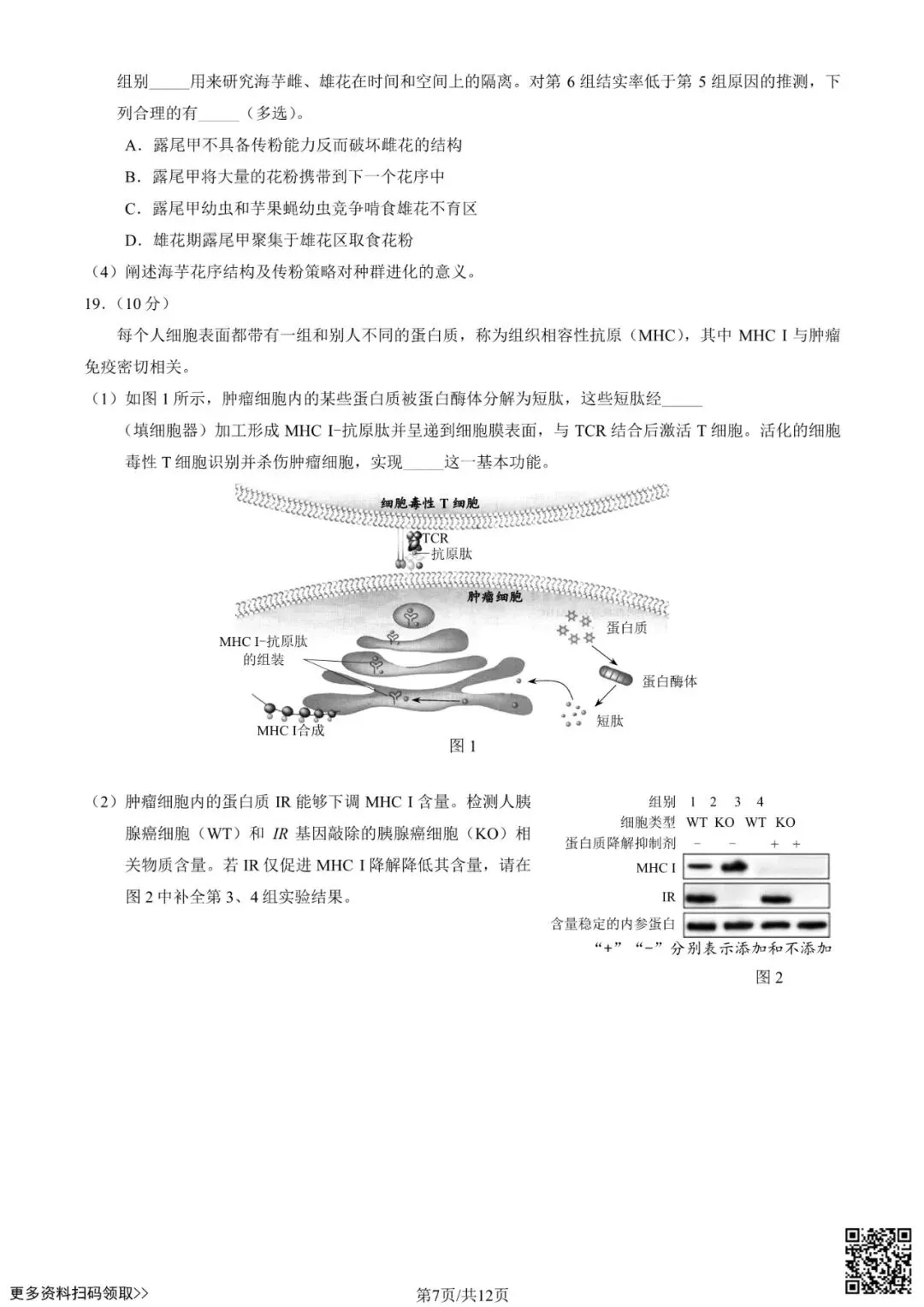 2025北京西城高三一模生物试卷(含答案) 第7张