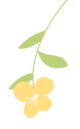 指尖逐光 智启未来——我校初中部信息技术模拟考试纪实 第4张