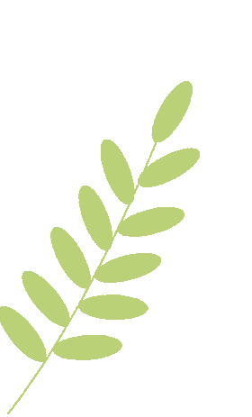 指尖逐光 智启未来——我校初中部信息技术模拟考试纪实 第7张