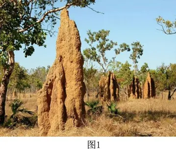 中考真题分类训练(6) 第5张