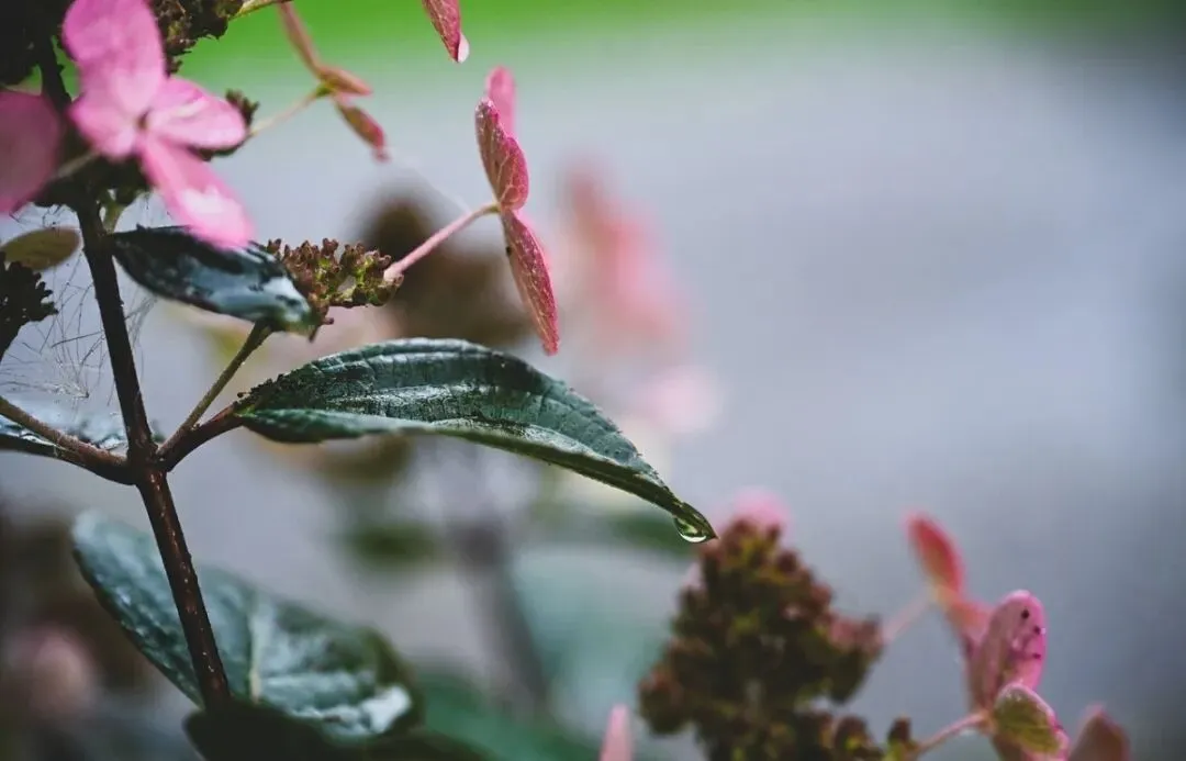 2026年3月14日江苏省公务员面试真题解析及参考答案:问计于民 第2张