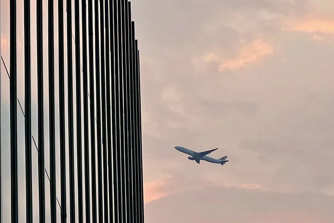 真题汇编更新:我国的生产资料所有制 第1张