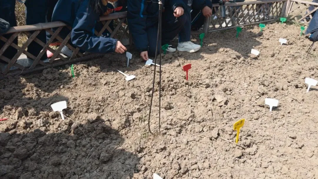 【铭 · 韵德育】百日誓师燃斗志 逐梦中考启新程——嘉善县丁栅中心学校举行九年级百日冲刺誓师大会 第23张