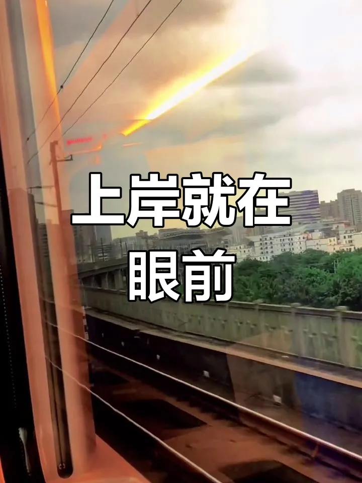 对答案!2026年3月14日省考行测真题+参考答案 第2张