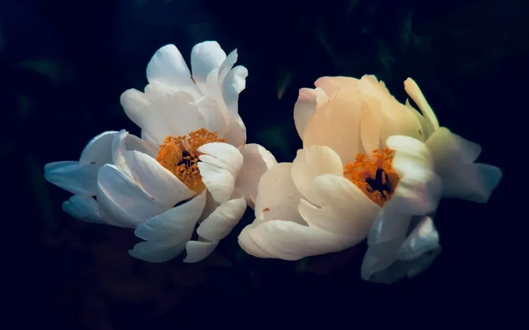 2022-2025高考真题科技热词汇总 第2张